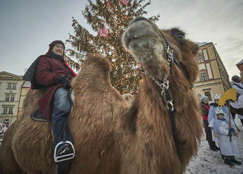 Tři králové s družinou a třemi velbloudy projdou centrem Brna