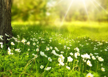 Příjemné prožití Velikonoc