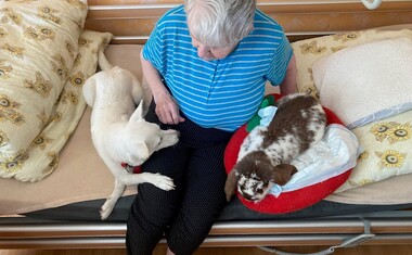 Domov pokojného stáří Kamenná