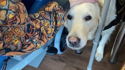 Září v našem Domově