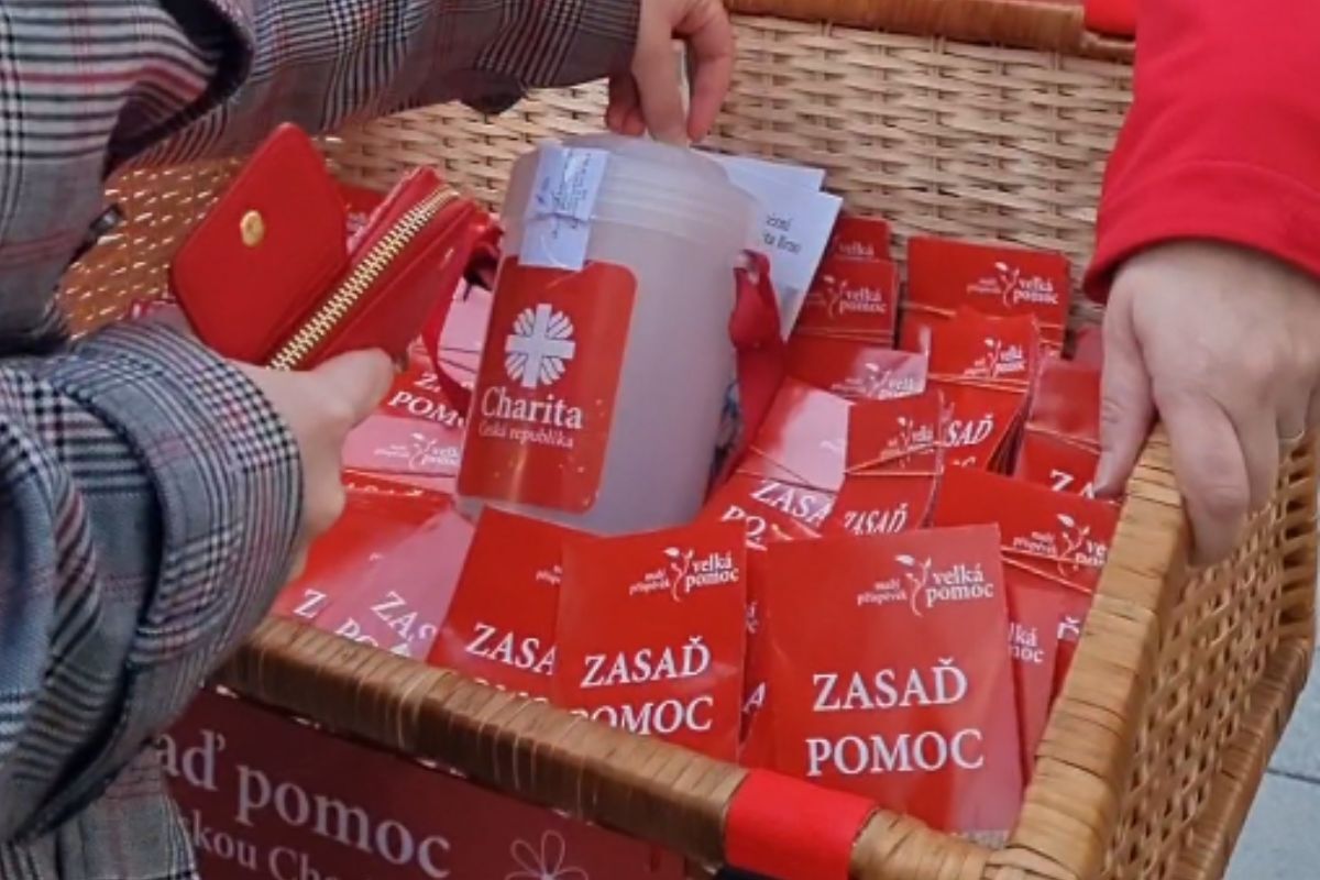 Semínko dá život nové rostlince – Váš příspěvek dá naději lidem v nouzi. Čím více semínek, tím pevnější síť pomoci společně v Brně vytvoříme.(2)
