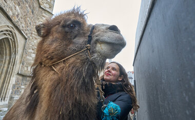 Tříkrálový průvod 2026