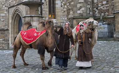 Tříkrálový průvod 2026