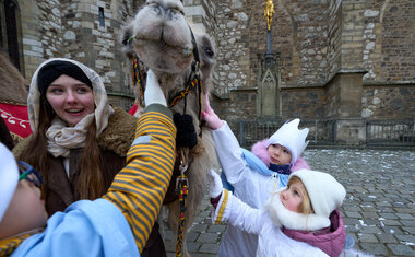 Tříkrálový průvod 2026