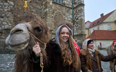 Tříkrálový průvod 2026