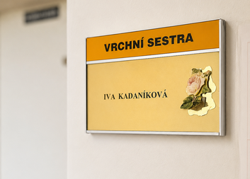 Třináct let dojíždí z Vysočiny do Brna. Vrchní sestra Iva Kadaníková mluví o práci, která má smysl